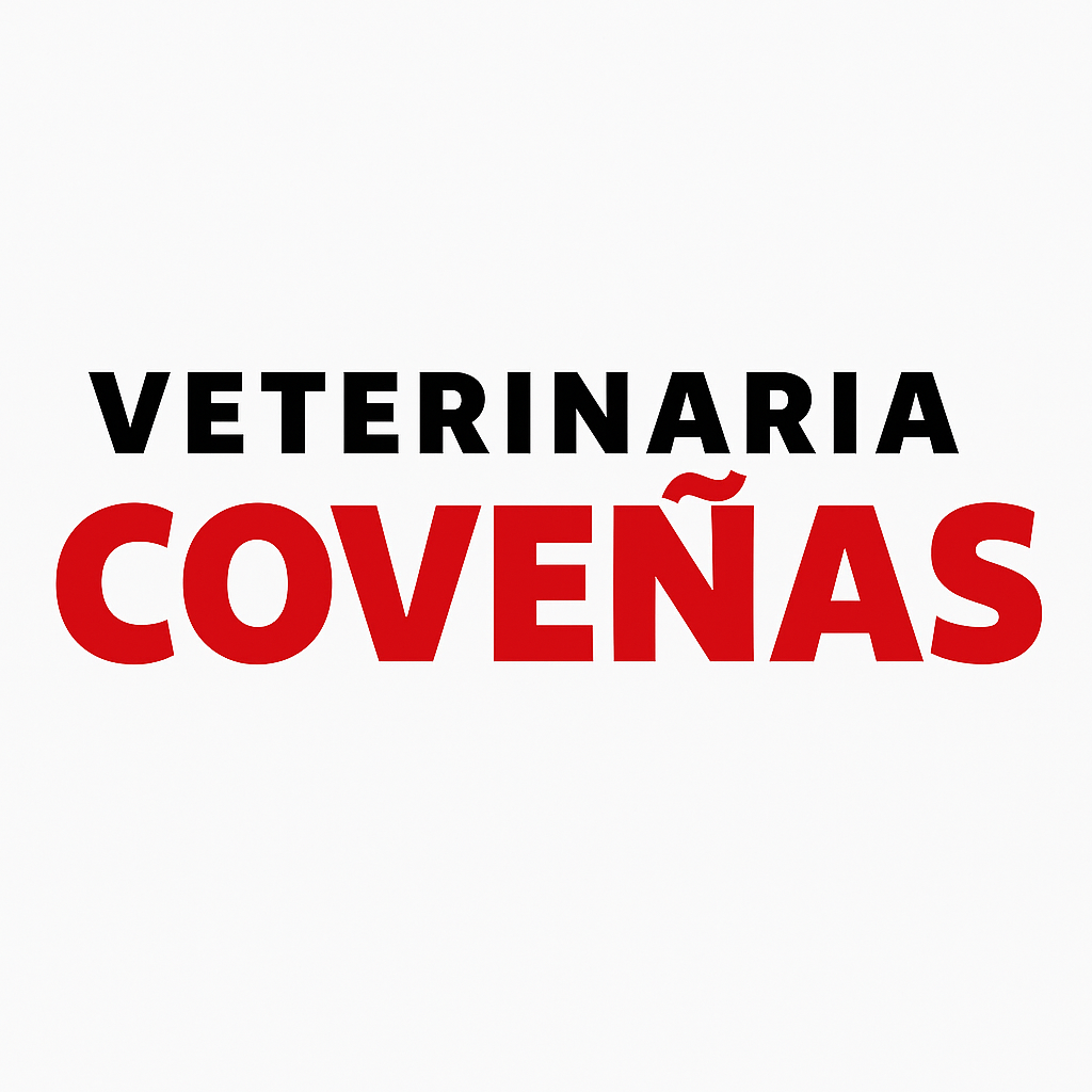 COVEÑAS ALLEMANT DE BERECHE LILIANA VANESSA